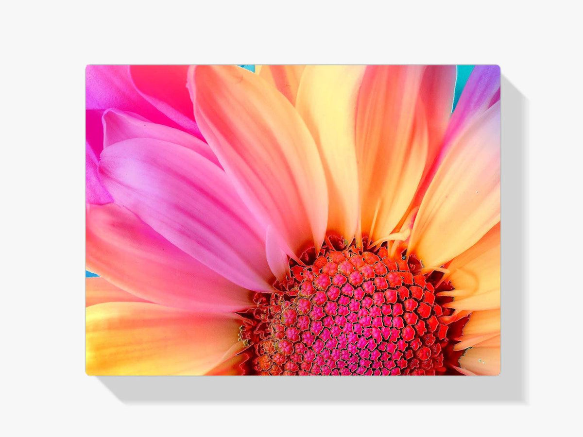 Diamond Painting Farbige Sonnenblume - SEOS Shop ®