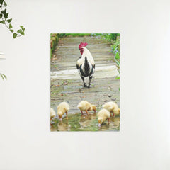 Diamond Painting Chicks - SEOS Shop ®