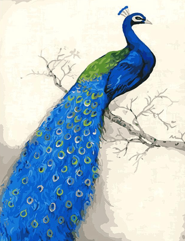 Diamond Painting - Grandioser Pfau - SEOS®