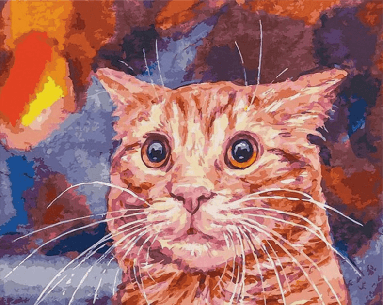 Diamantmalerei - Lustige Katze - SEOS®