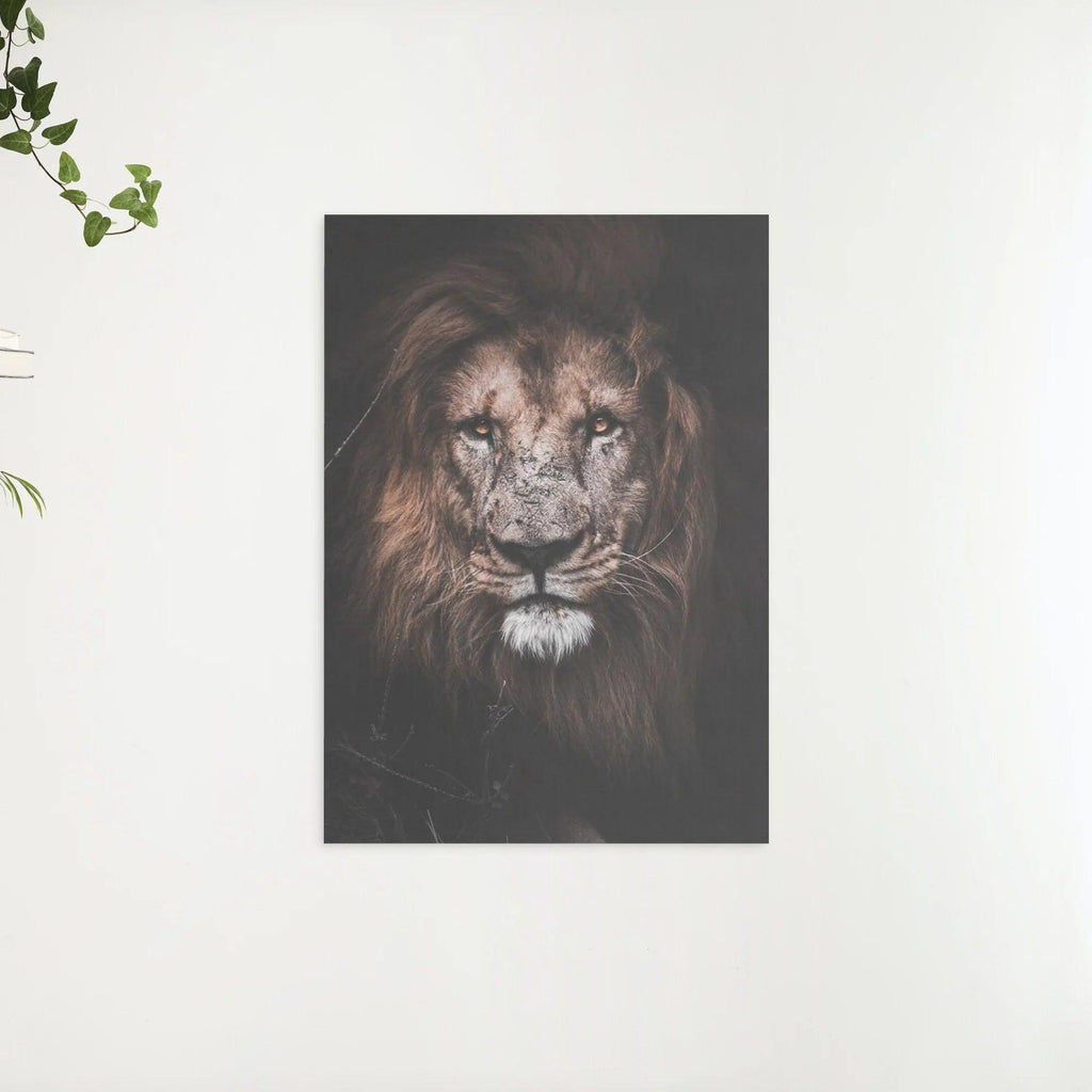 Diamantmalerei Großer Löwe - SEOS Shop ®