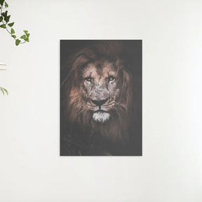 Diamantmalerei Großer Löwe - SEOS Shop ®