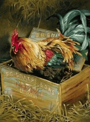 Diamantmalerei Hahn in Box - SEOS Shop ®