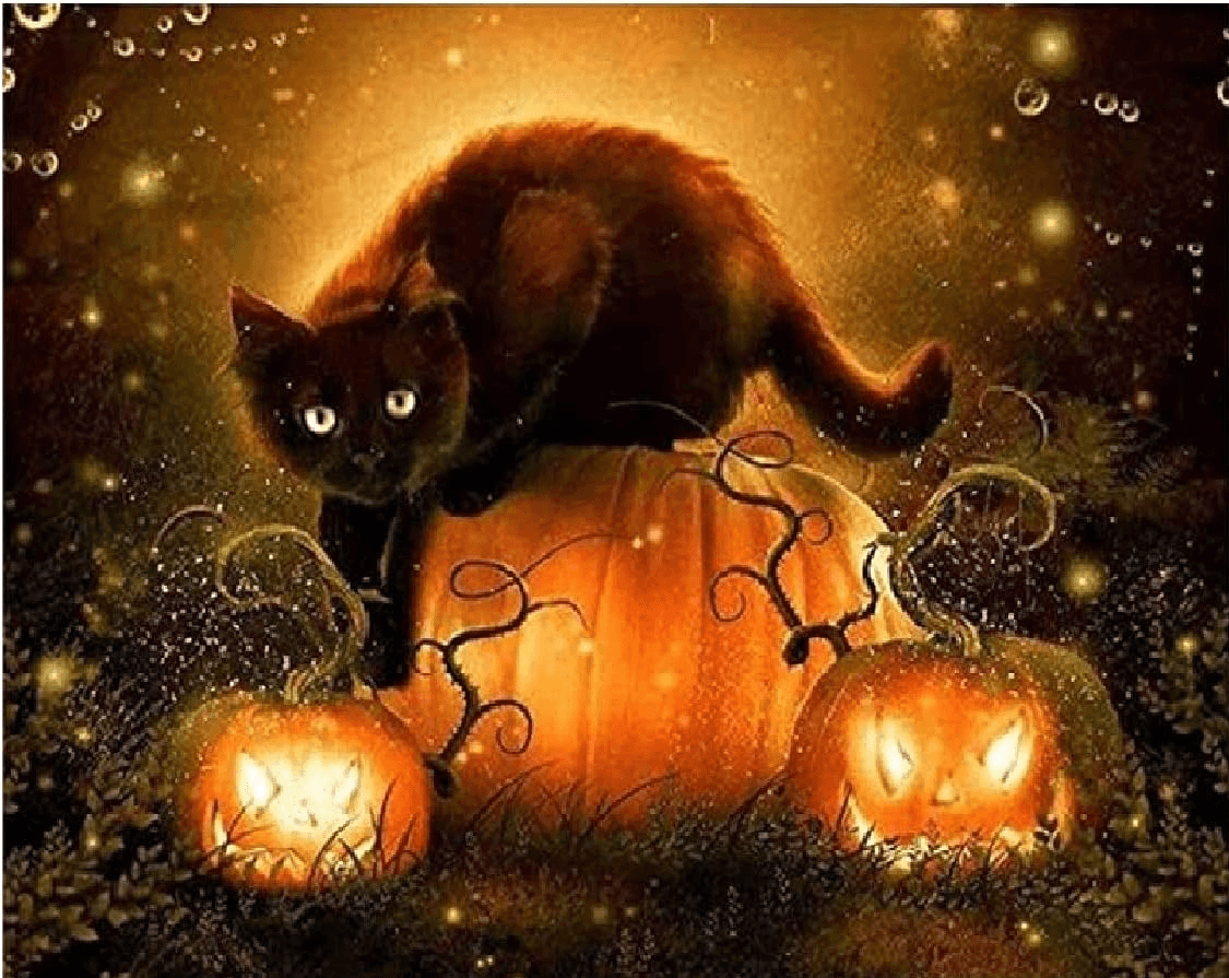 Diamantmalerei Halloween Katze - SEOS Shop ®