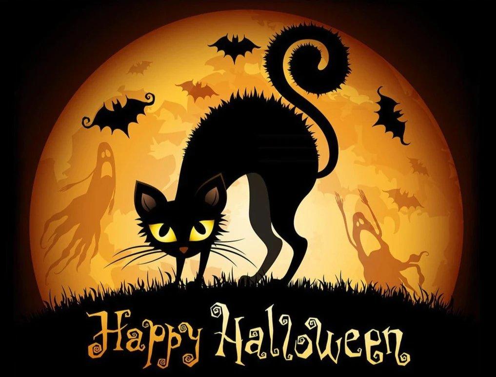 Diamantmalerei Happy Halloween - SEOS Shop ®