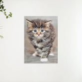 Diamond Painting Furry Kitten - SEOS Shop ®