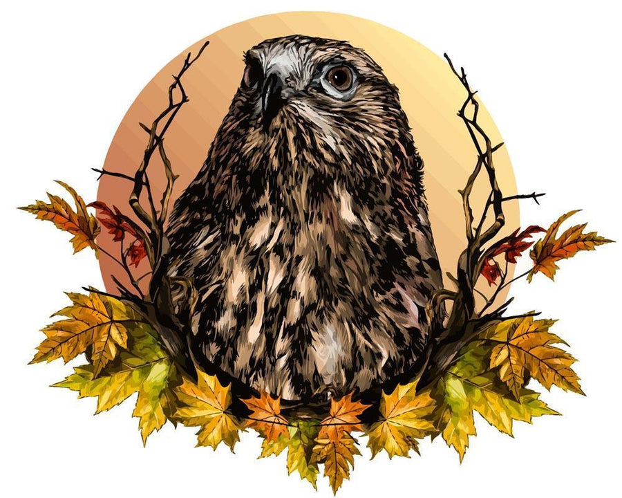 Diamantmalerei - Falkenkopf - SEOS®