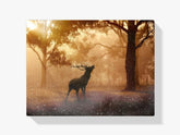 Diamantmalerei Hirsch im Wald – SEOS Shop ®