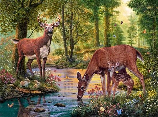 Diamond Painting Hirsch trinkt Wasser - SEOS Shop ®
