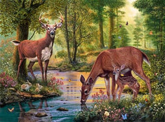 Diamond Painting Hirsch trinkt Wasser - SEOS Shop ®