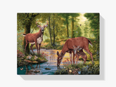 Diamond Painting Hirsch trinkt Wasser - SEOS Shop ®