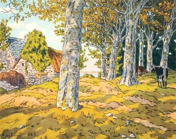 Diamond Painting - Der Buchenwald - SEOS Shop ®