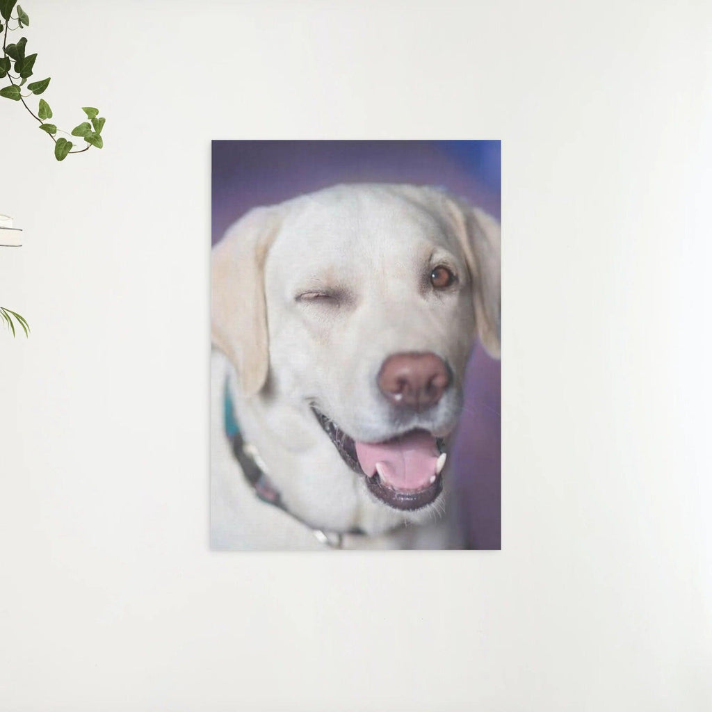 Diamond Painting Hund mit Zwinkern - SEOS Shop ®