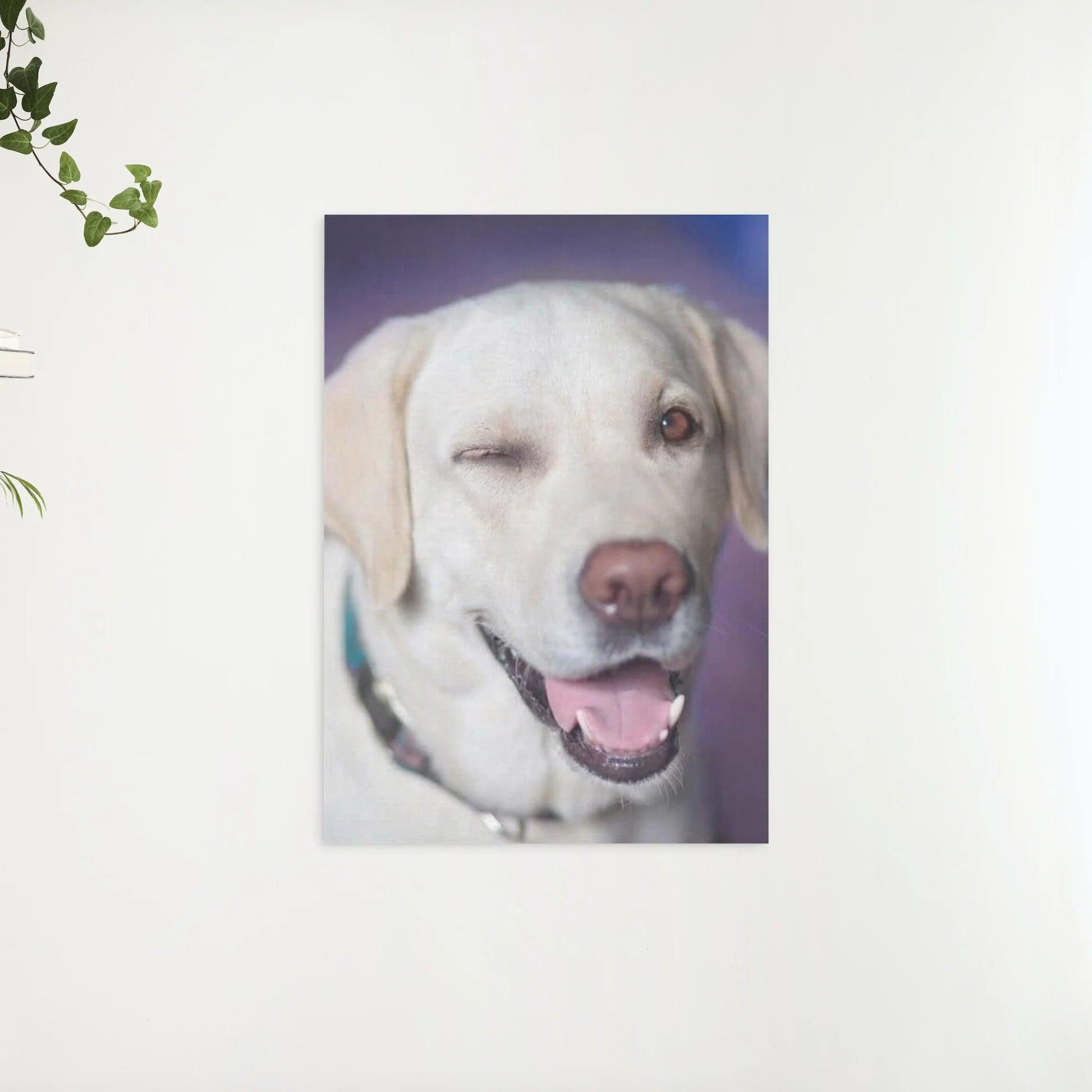 Diamond Painting Hund mit Zwinkern - SEOS Shop ®
