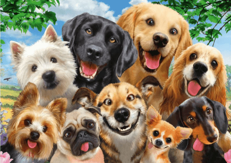 Diamond Painting Hunde zeigen Zunge - SEOS Shop ®