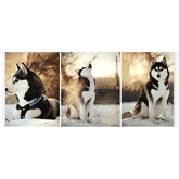 Diamond Painting Husky 3-teilig - SEOS Shop ®