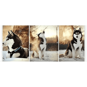 Diamond Painting Husky 3-teilig - SEOS Shop ®