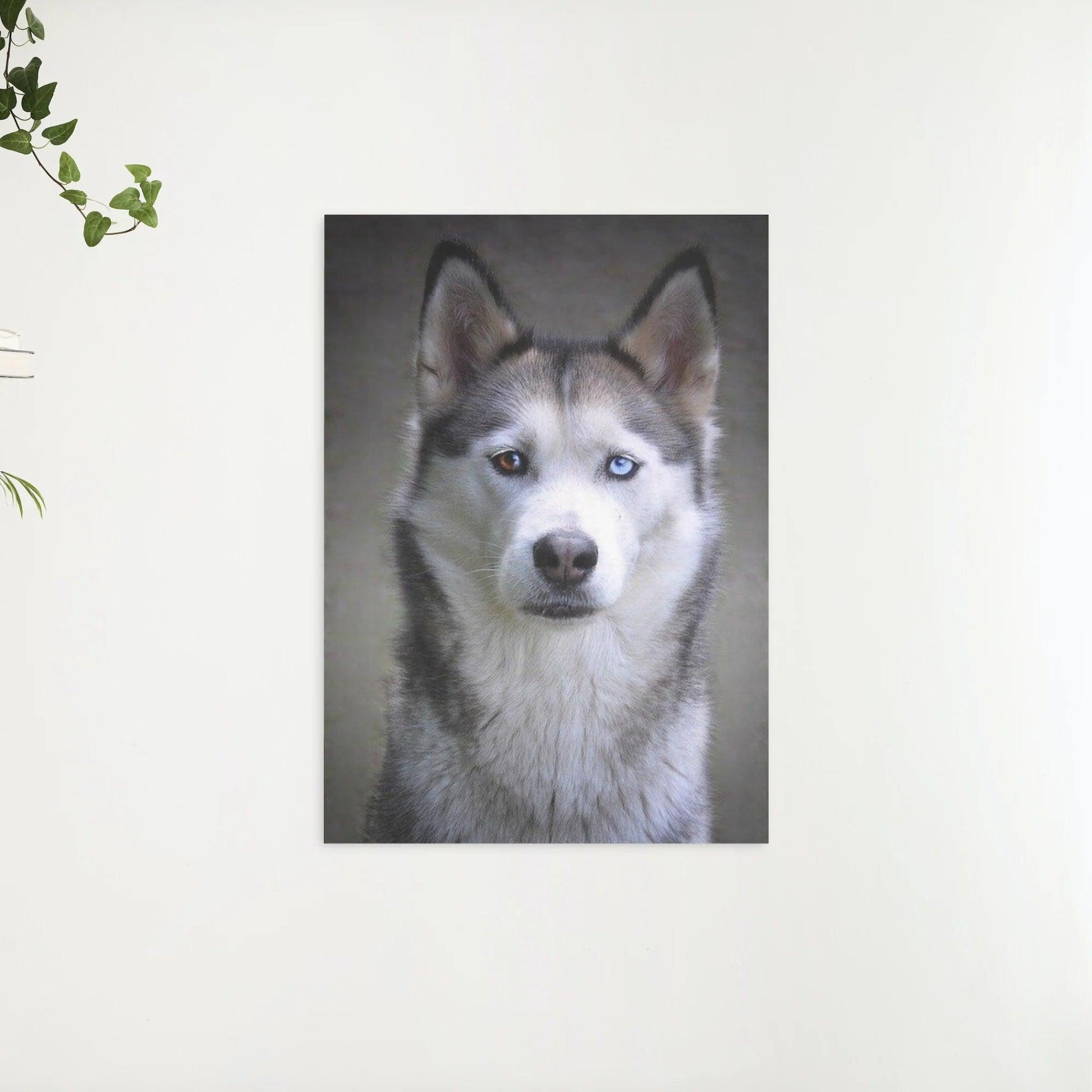Diamond Painting Husky mit Hundeaugen - SEOS Shop ®