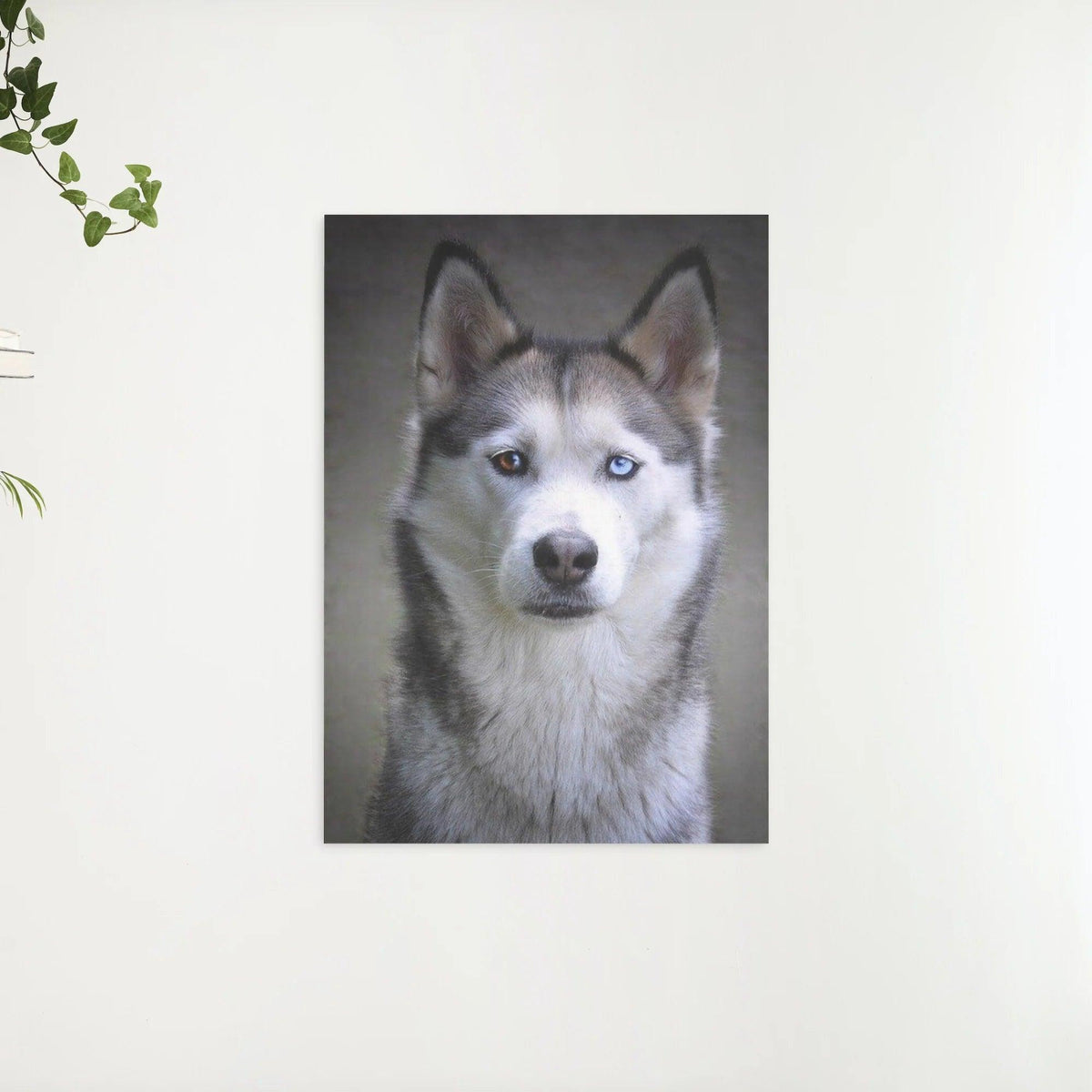 Diamond Painting Husky mit Hundeaugen - SEOS Shop ®