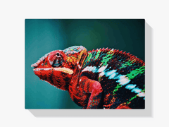 Diamond Painting Chameleon 45x30 cm – SEOS Shop ®