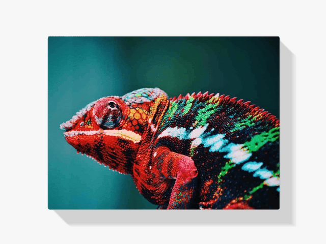 Diamond Painting Chameleon 45x30 cm – SEOS Shop ®