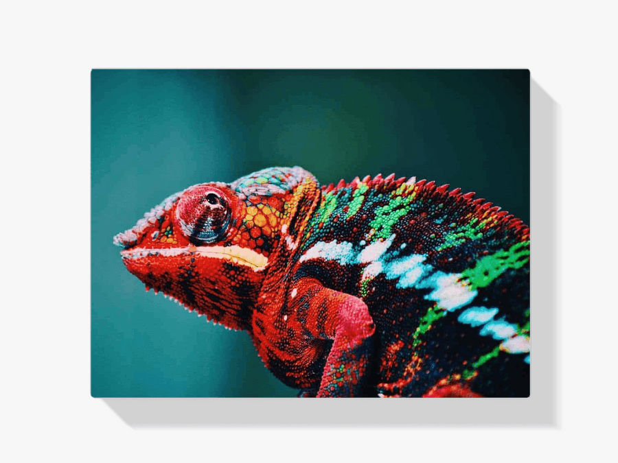 Diamond Painting Chameleon 45x30 cm – SEOS Shop ®