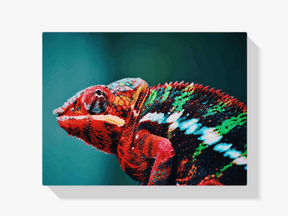 Diamond Painting Chamäleon 45x30 cm – SEOS Shop ®