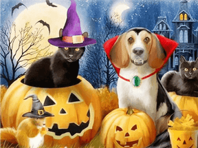 Diamantmalerei Katze und Hund - SEOS Shop ®
