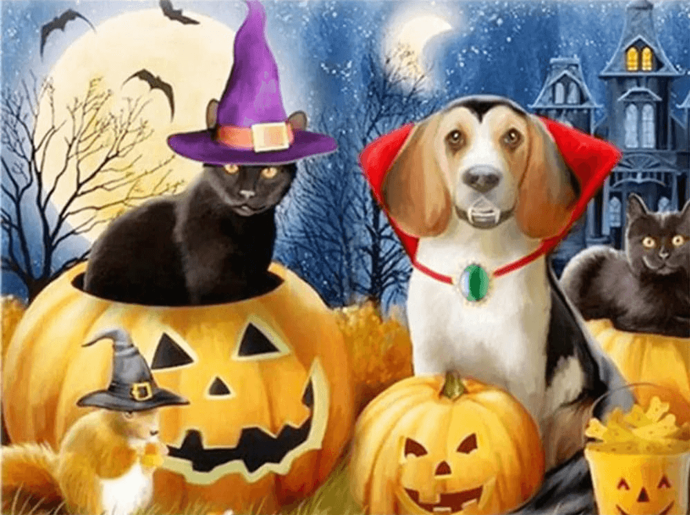 Diamantmalerei Katze und Hund - SEOS Shop ®