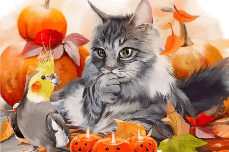 Diamantmalerei Katze - SEOS Shop ®