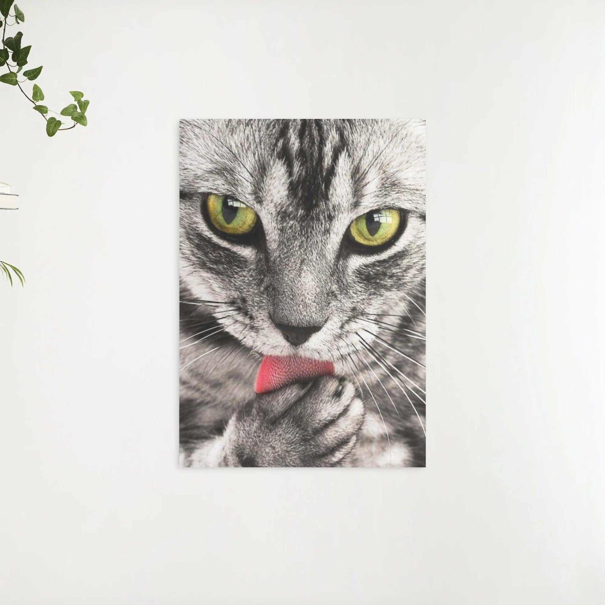 Diamond Painting Katze leckt Hand - SEOS Shop ®