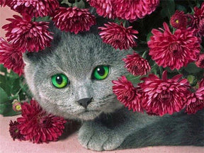 Diamantmalerei Katze mit Blumen - SEOS Shop ®