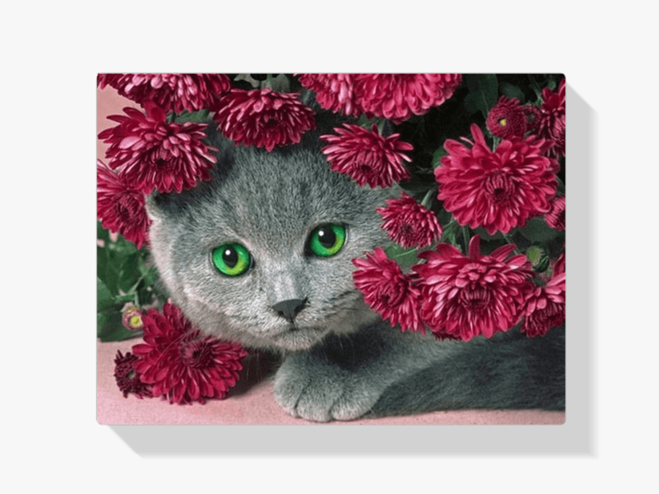 Diamantmalerei Katze mit Blumen - SEOS Shop ®