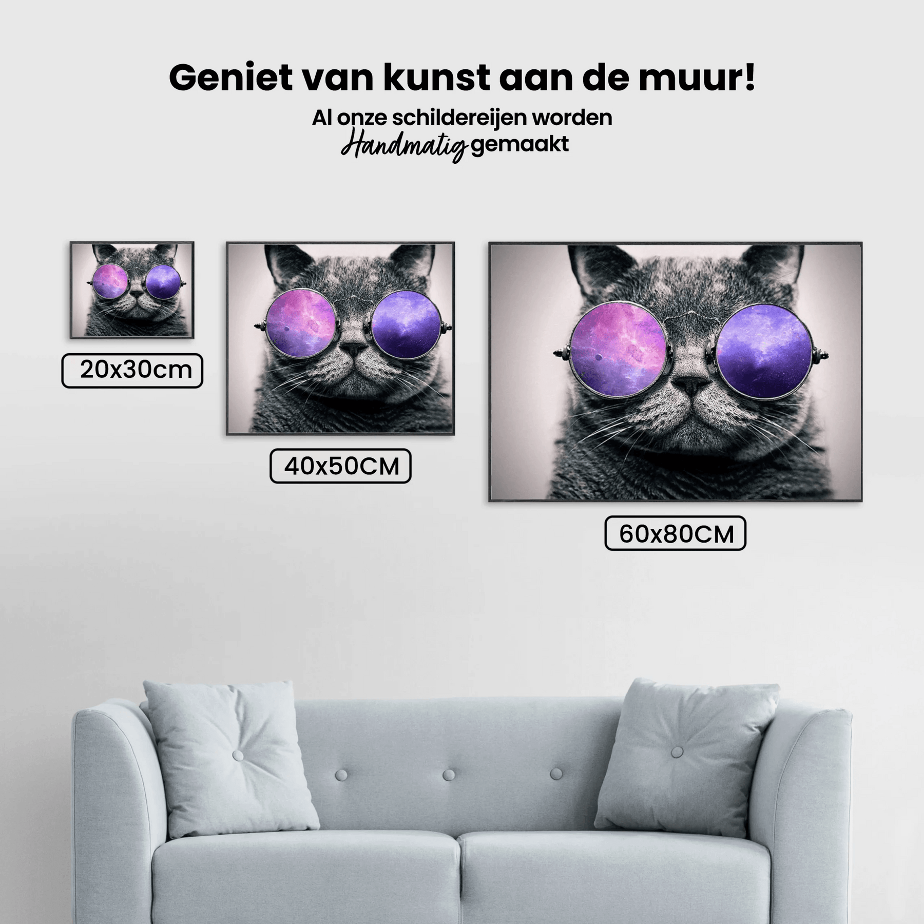 Diamantmalerei Katze mit lila Brille - SEOS Shop ®