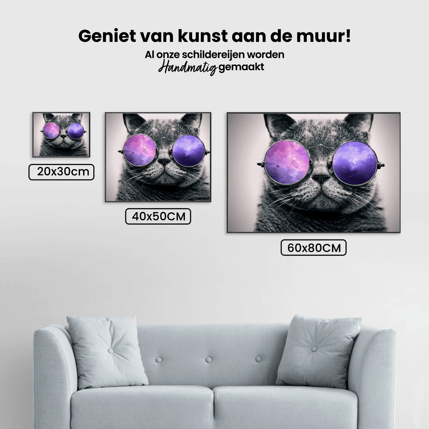 Diamantmalerei Katze mit lila Brille - SEOS Shop ®