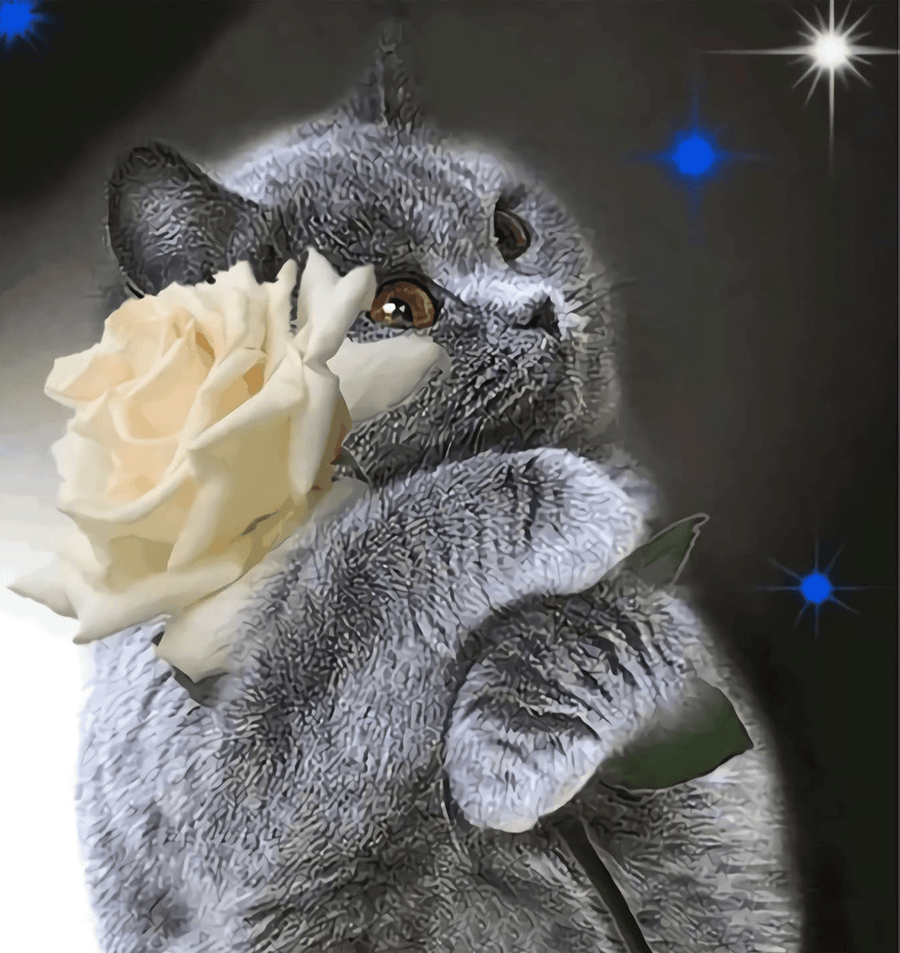 Diamond Painting Katze mit weißer Rose - SEOS Shop ®