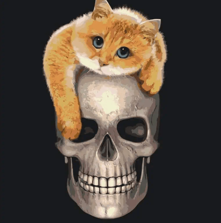Diamantmalerei - Katze auf dem Totenkopf - SEOS®
