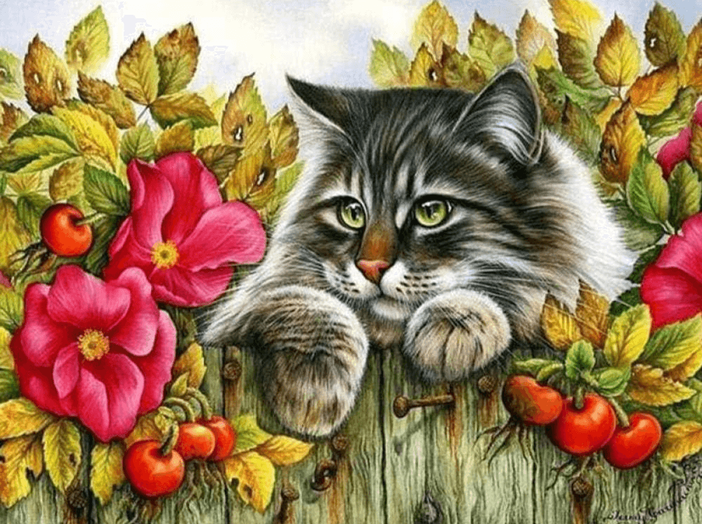 Diamantmalerei Katze auf dem Zaun - SEOS Shop ®