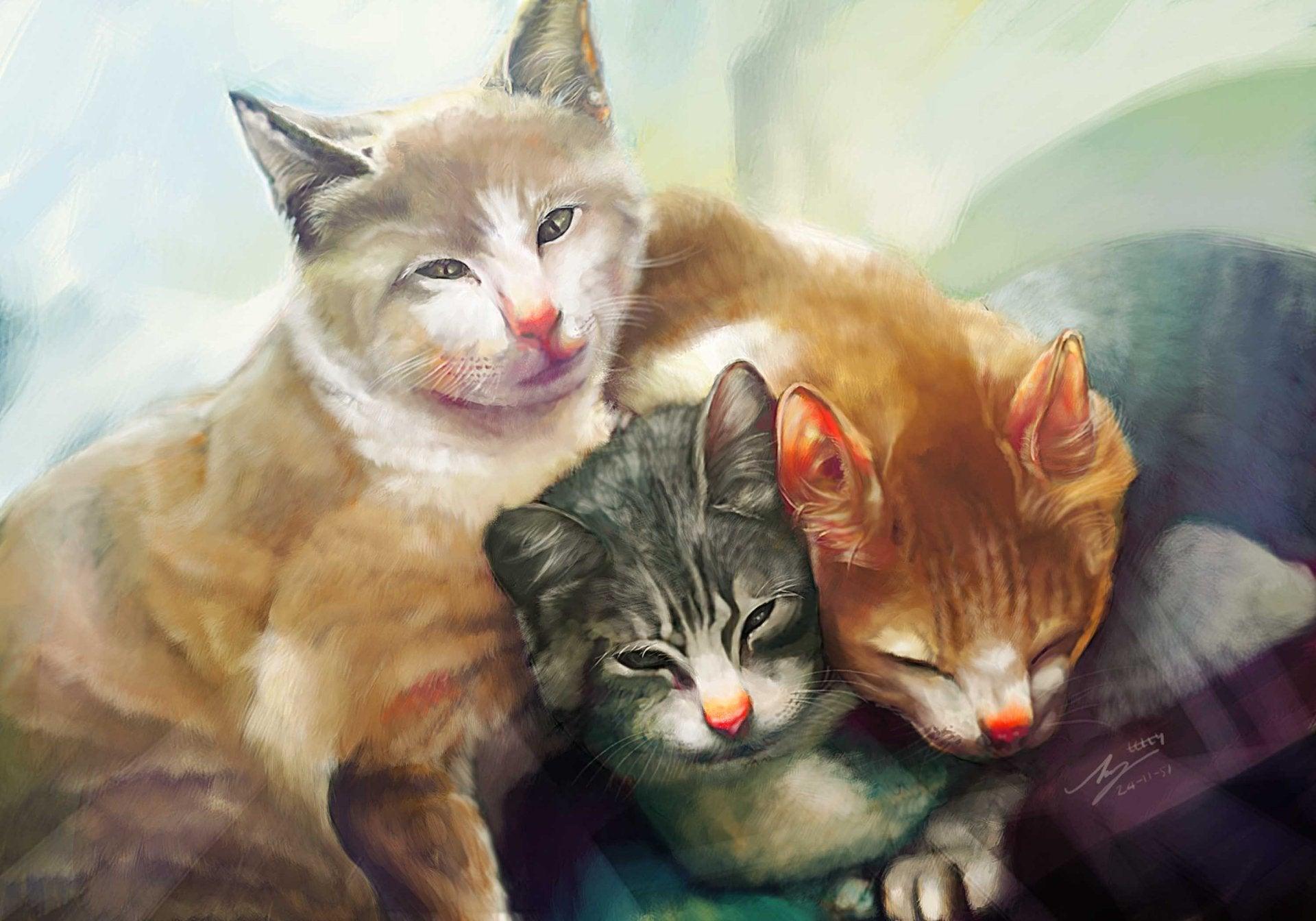 Diamond Painting Katzenfamilie - SEOS Shop ®