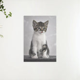 Diamond Painting Kätzchen mit grauen Augen - SEOS Shop ®
