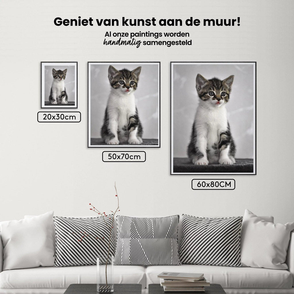 Diamond Painting Kätzchen mit grauen Augen - SEOS Shop ®