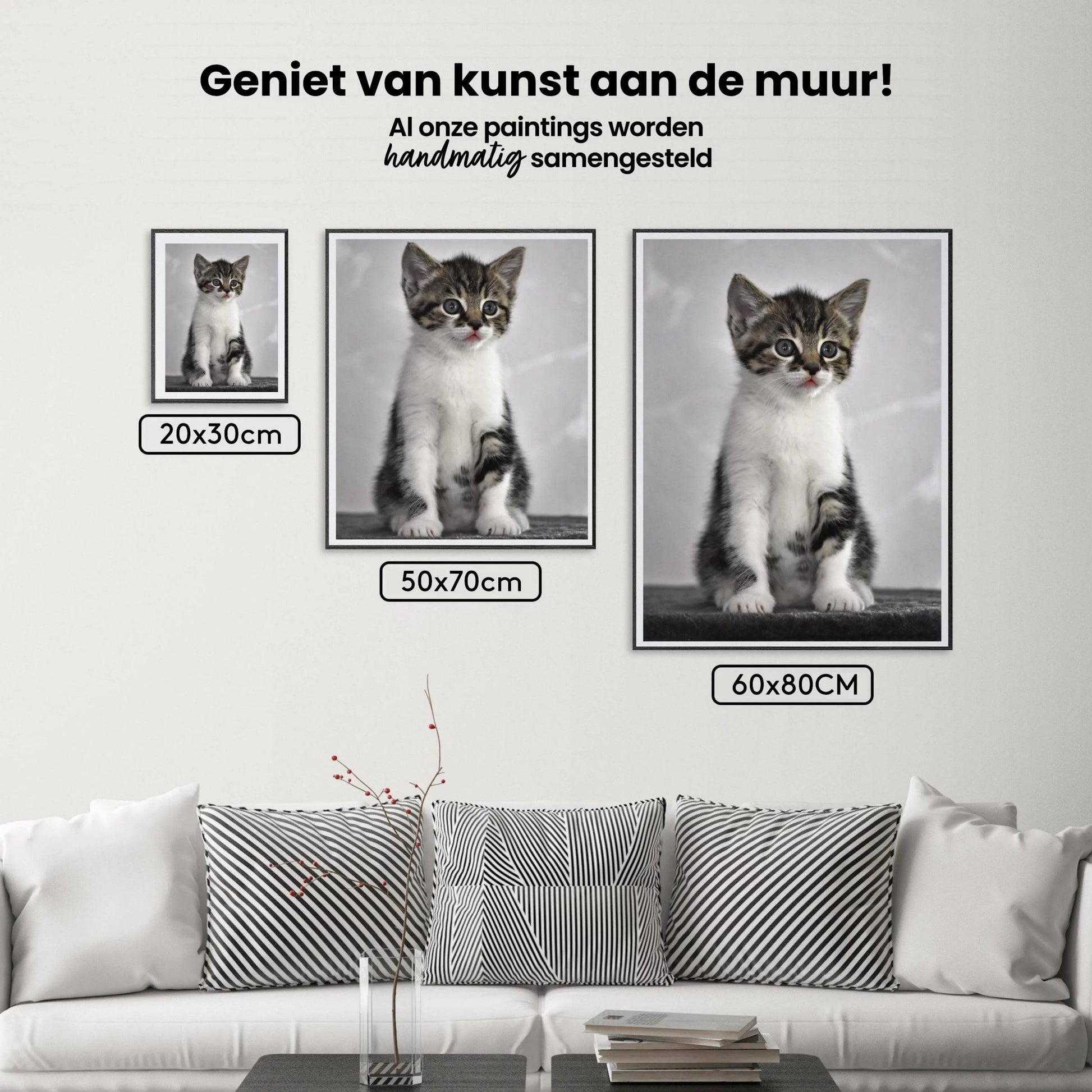 Diamond Painting Kätzchen mit grauen Augen - SEOS Shop ®