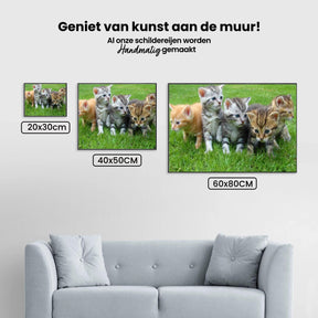 Diamond Painting Kätzchen Komplett - SEOS Shop ®