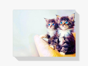 Diamantmalerei-Kätzchen mit blauen Augen - SEOS Shop ®