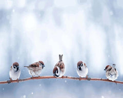 Diamantmalerei - Kleine süße Vögel - SEOS Shop ®