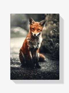Diamond Painting Kleiner Fuchs - SEOS SHOP
