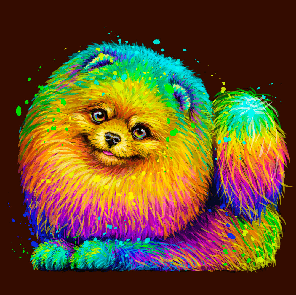 Diamond Painting Bunter Zwergspitz - SEOS Shop ®