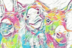 Diamond Painting Bunte Esel - SEOS Shop ®
