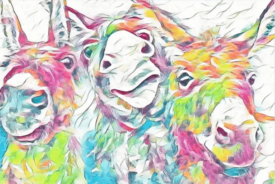 Diamond Painting Bunte Esel - SEOS Shop ®