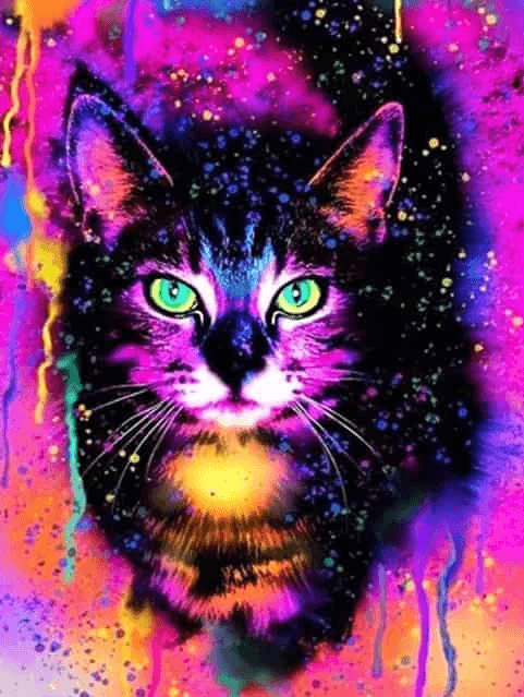 Diamantmalerei Bunte Katze - SEOS Shop ®